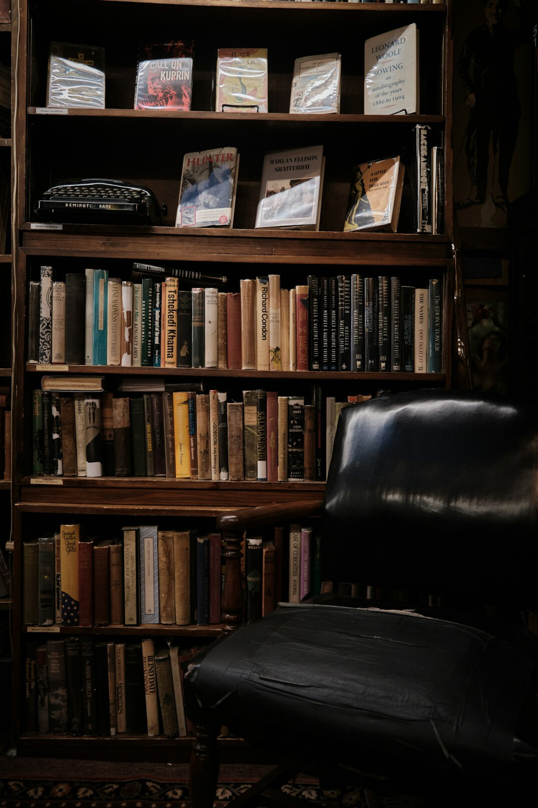 bookshelf with crime novels